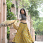 Kaira bagru handblock printed cotton lehenga
