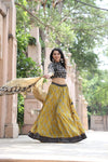 Kaira bagru handblock printed cotton lehenga